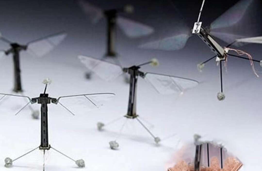 أصغر روبوت على شكل حشرة يتمكن أخيراً من الطيران