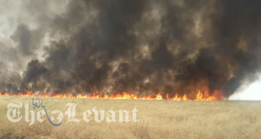 نقيب المحامين لدى النظام يطالب بمصادرة أموال مرتكبي الحرائق