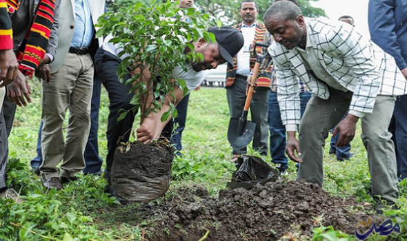 في يوم واحد فقط ... أثيوبيا تزرع 224 ألف شجرة
