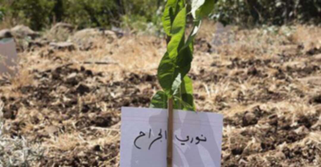 أشجار كرز لكتاب سوريين وعرب في الجولان السوري المحتل