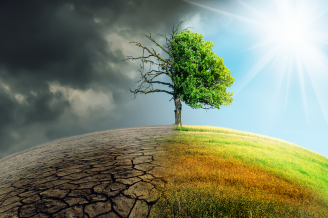 تغير المناخ يزيد احتمالية حدوث الجفاف كل 20 عاماً