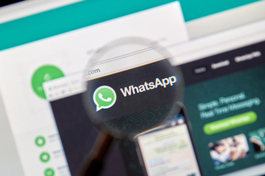 ماذا تستنتج لو تلقيتها؟ نقطة النهاية في رسالة WhatsApp عدوانية