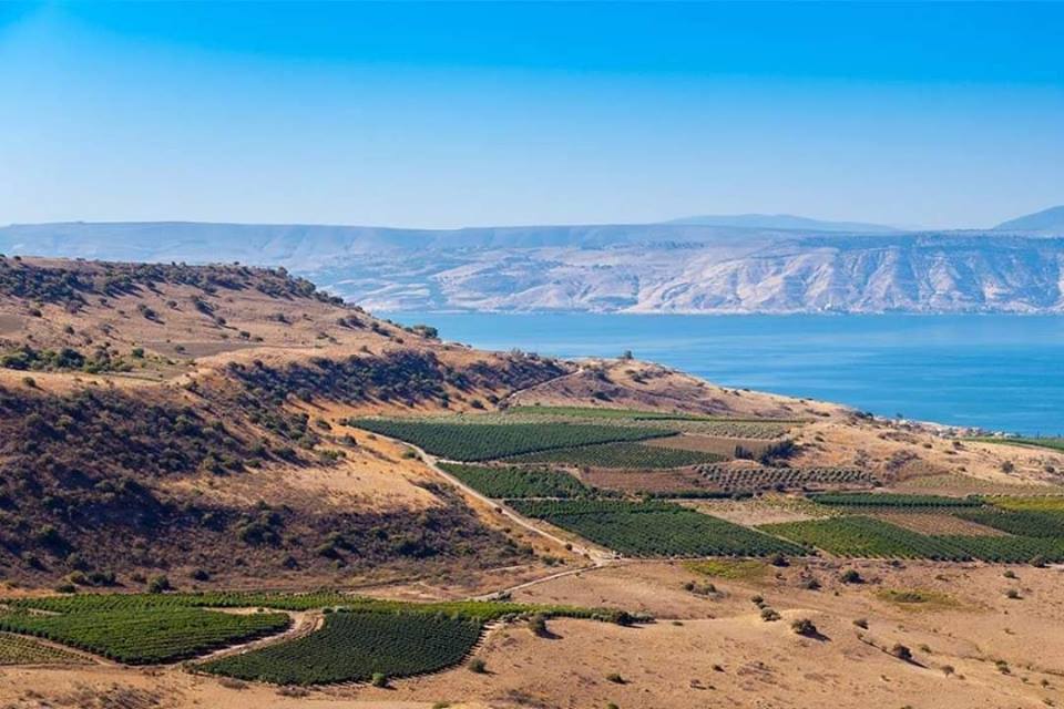 مداهمات وتوغل عسكري في مدينة البعث بالجولان