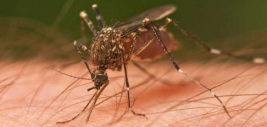 سيتم القضاء على مرض الملاريا نهائياً في غضون 30 عاماً