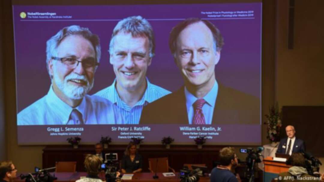 أمريكيان وبريطاني يفوزون بجائزة نوبل للطب لعام 2019