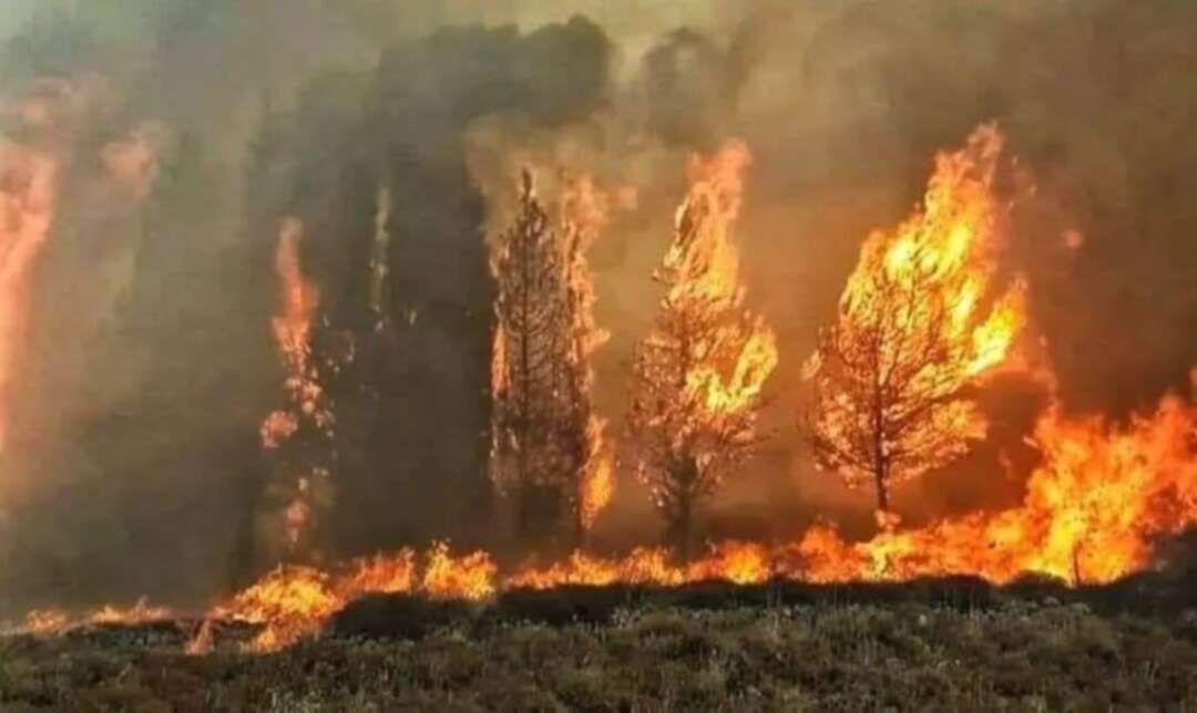 لبنان.. تجدد حريق في غابات بشامون بسبب الرياح