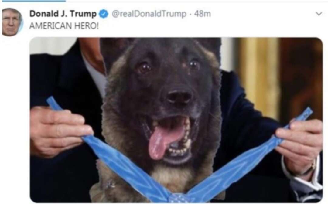 بعد أسبوع.. ترامب سيستقبل كلباً شارك في عملية قتل البغدادي