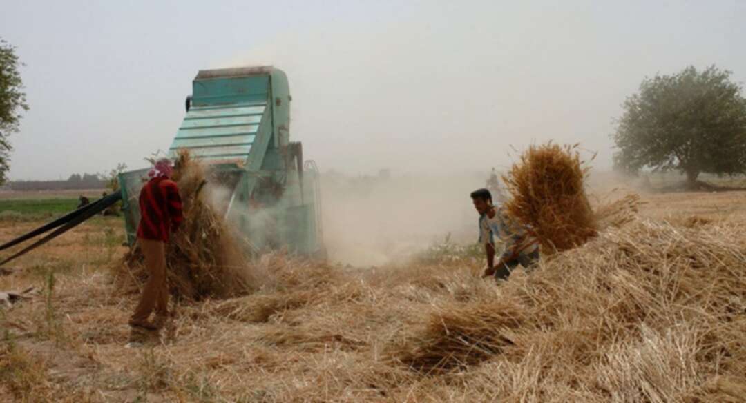 رويترز: تغير المناخ والصراع يؤثران بشدة على محصول الحبوب في سوريا