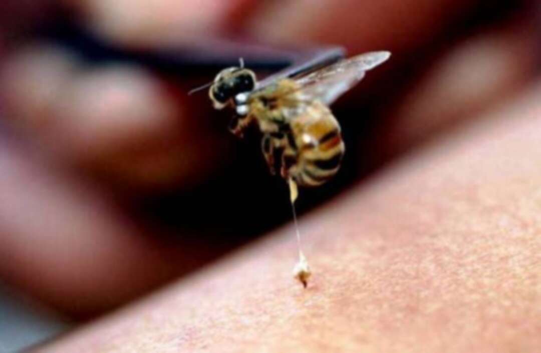 فوائد قرص النحل للإنسان
