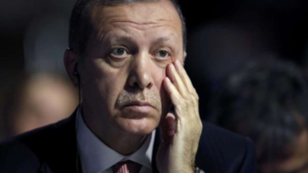 رئيسة حزب تركي تشبّه أردوغان وصهره بفيلم 