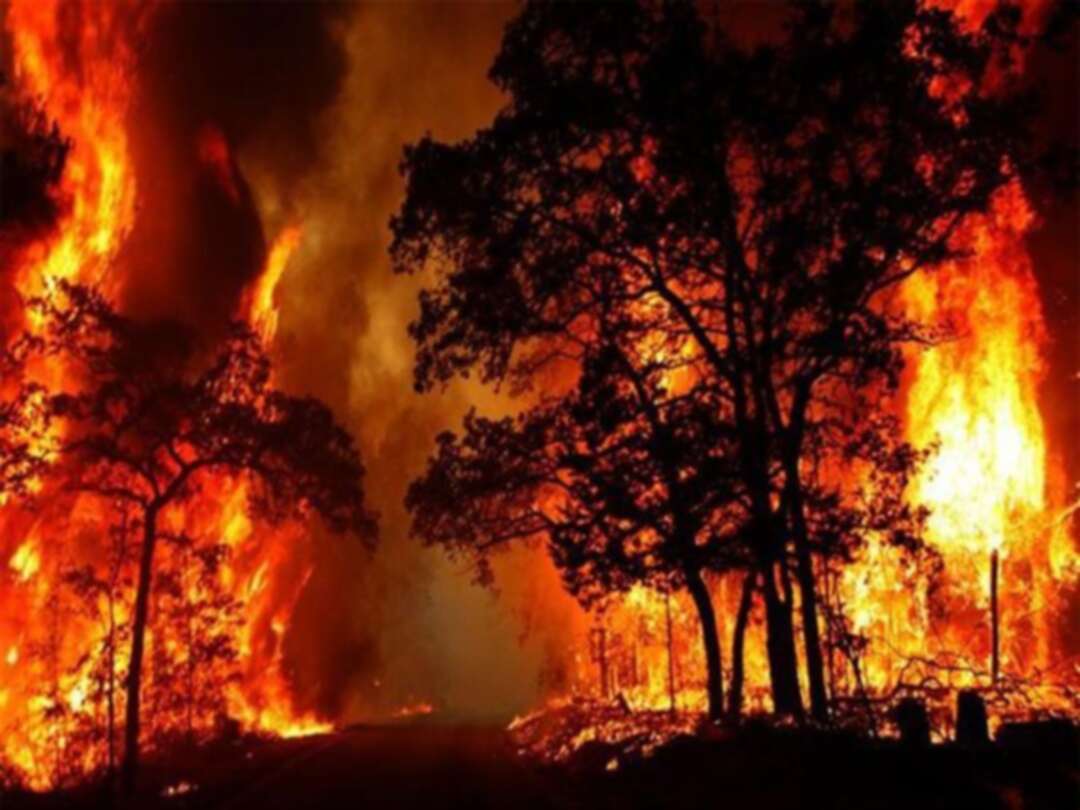 حرائق الغابات تتواصل جنوب الأرجنتين