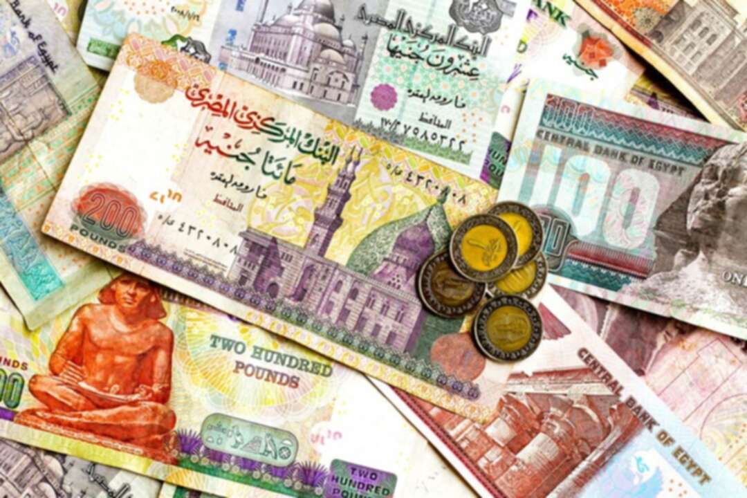 تواصل تراجع الجنيه المصري أمام الدولار