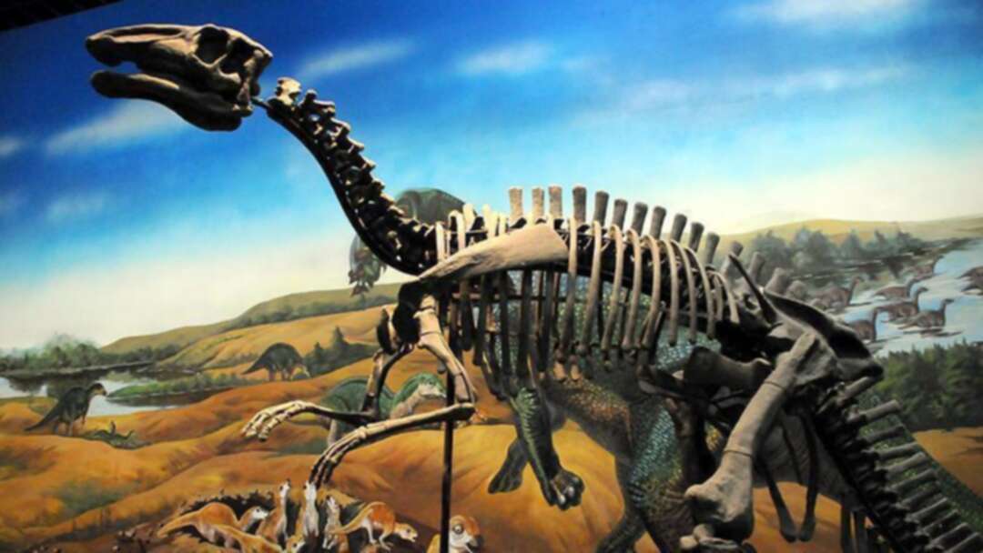 اكتشاف آثار جديدة لديناصورات