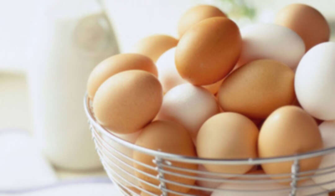 دراسة أوروبية تكشف خطر الإفراط في تناول البيض و ارتفاع الإصابة ب 