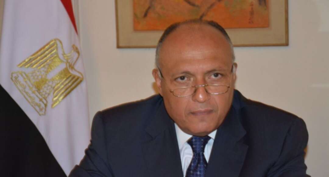 وزير الخارجية المصري يؤكد على أهمية التعاون مع باكستان