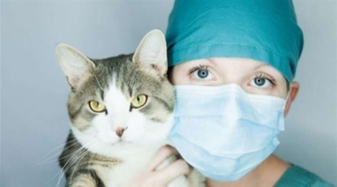 هل الحيوانات الأليفة مُعرّضة للإصابة بفيروس كورونا؟