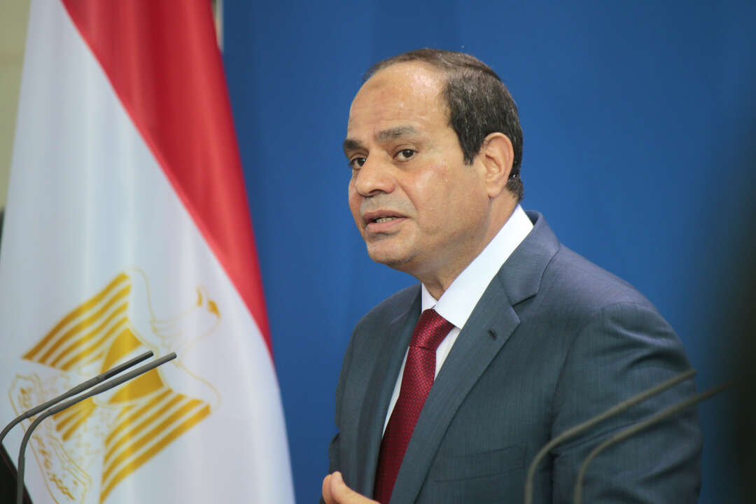 الرئيس المصري: مخزون القمح جيد.. ولو الأمر يحتاج تعاقدات أغلى فسنفعل