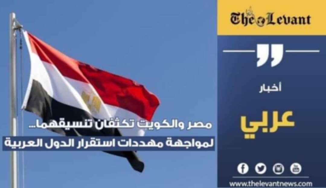 مصر والكويت تكثّفان تنسيقهما.. لمواجهة مهددات استقرار الدول العربية