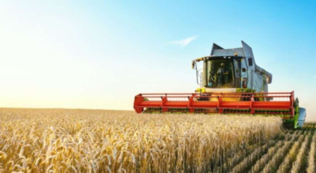تدني أسعار القمح لدى أكبر المُصدرين عالمياً