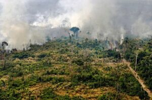 Amazon forest fire (File photo: AFP)