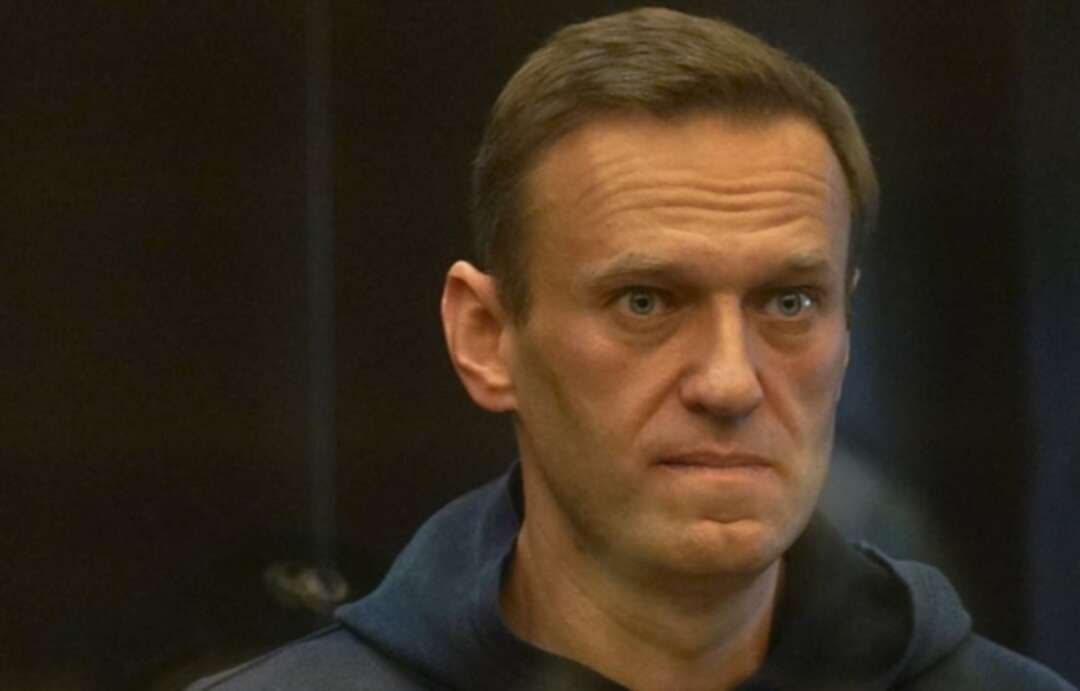 UN human rights investigators to publish findings on Navalny case on Monday