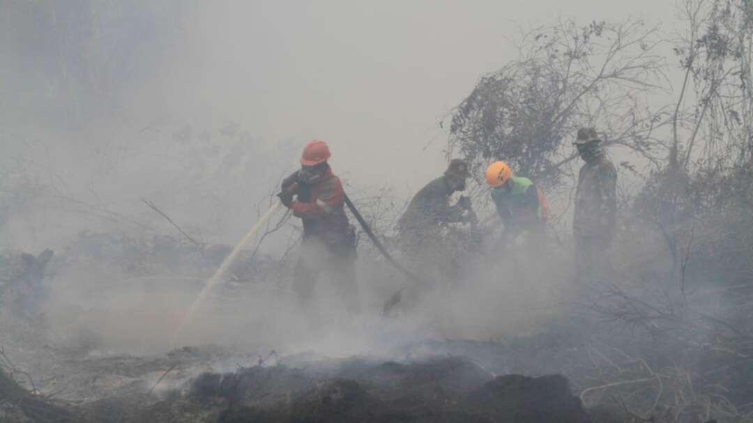 Indonesian president warns of forest fire risks, hot spots detected