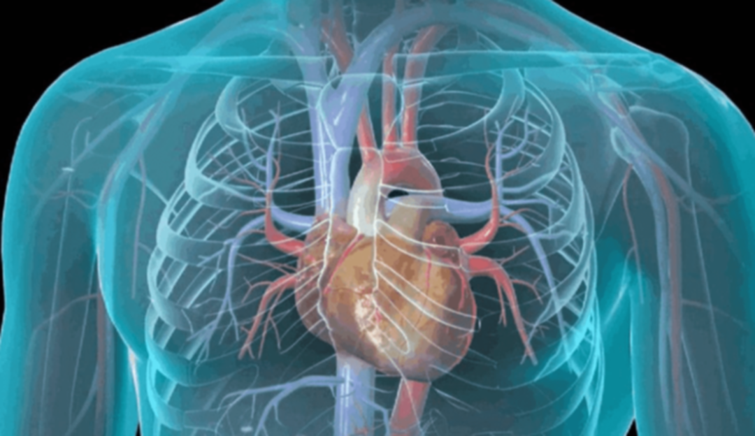 بينها التدخين والوراثة.. أهم عوامل الإصابة بالسكتة القلبية