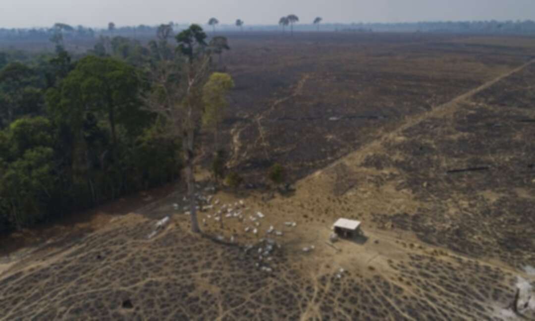 Bolsonaro slashes Brazil’s environment budget, day after climate talks pledge