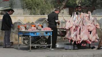 ارتفاع أسعار اللحوم في سوريا بما يزيد عن 20 بالمئة