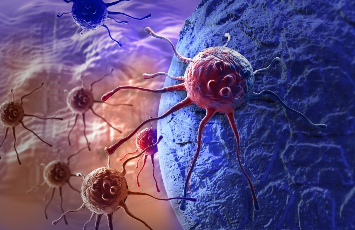 الكشف عن كيفية تطور مرض السرطان في الجسم