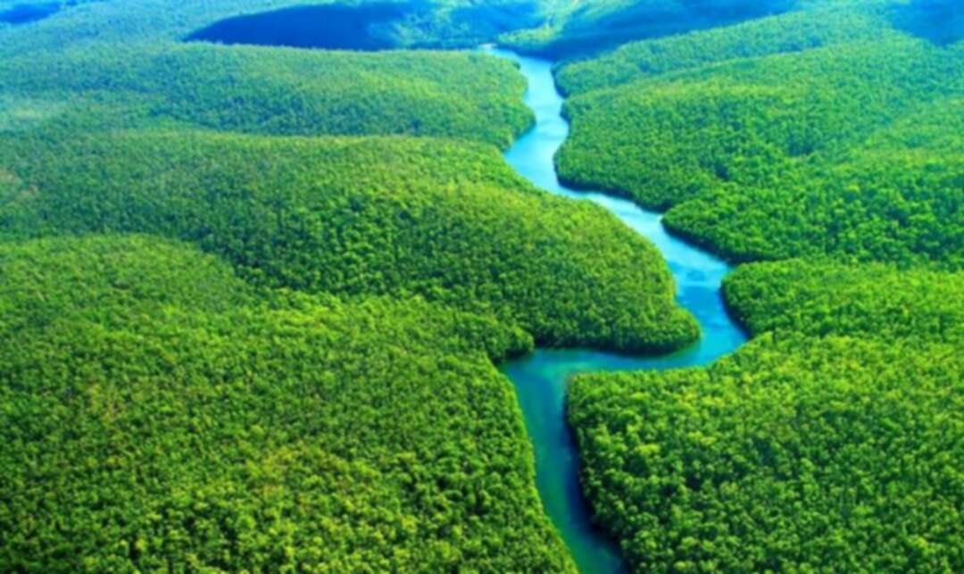 التغير المناخي..الغابة الاستوائية في البرازيل مصدر للانبعاثات السامة