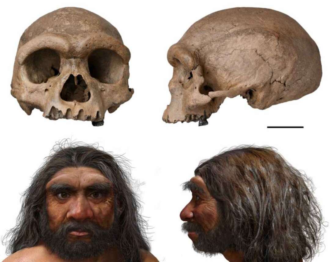 Discovery of 'Dragon Man' may change the concept of human evolution