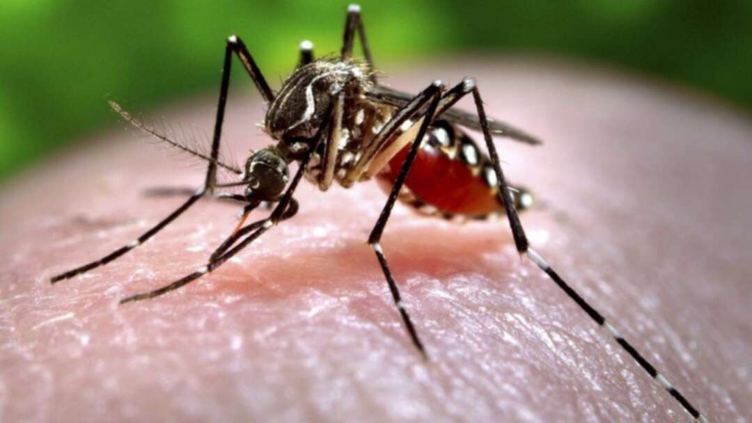India's Kerala State reports 14 cases of Zika Virus
