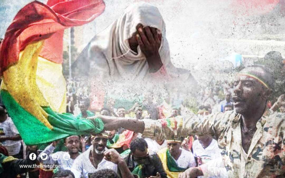 إثيوبيا .. إسقاط طائرة تحمل سلاحاً عبرت من السودان