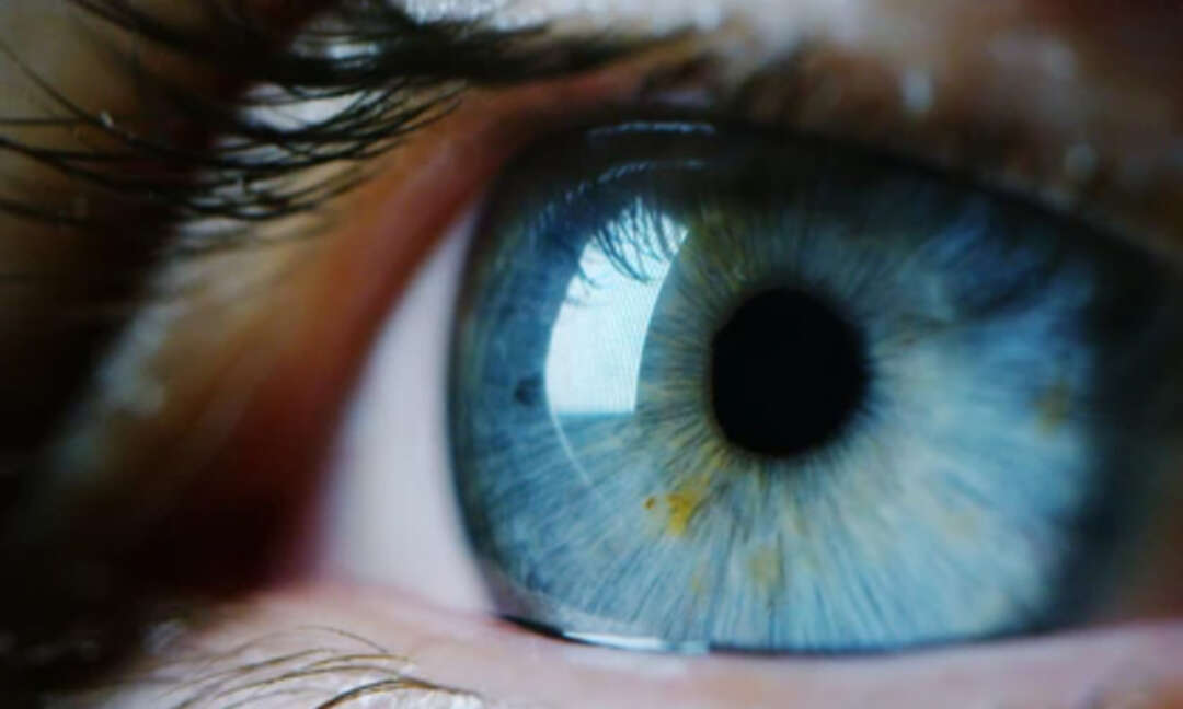 ثماني فواكه جافة تساعد على تعزيز صحة العينين