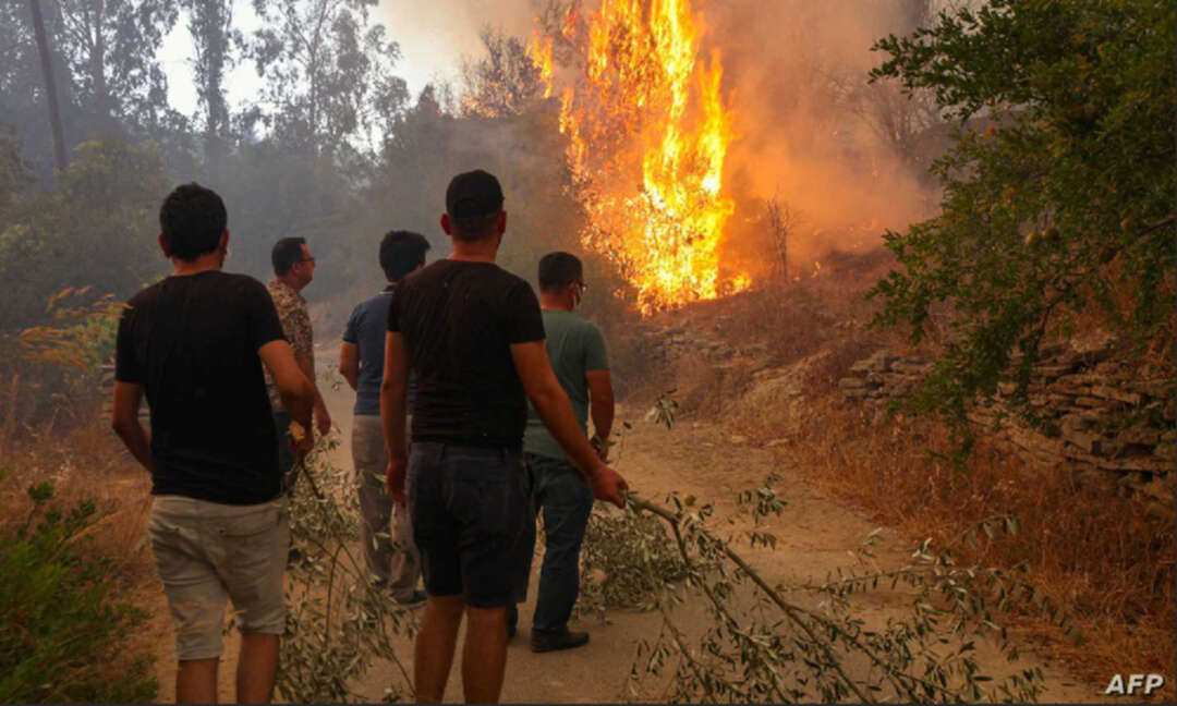 الحرائق تجتاح الغابات اليونانية من 3 اتجاهات