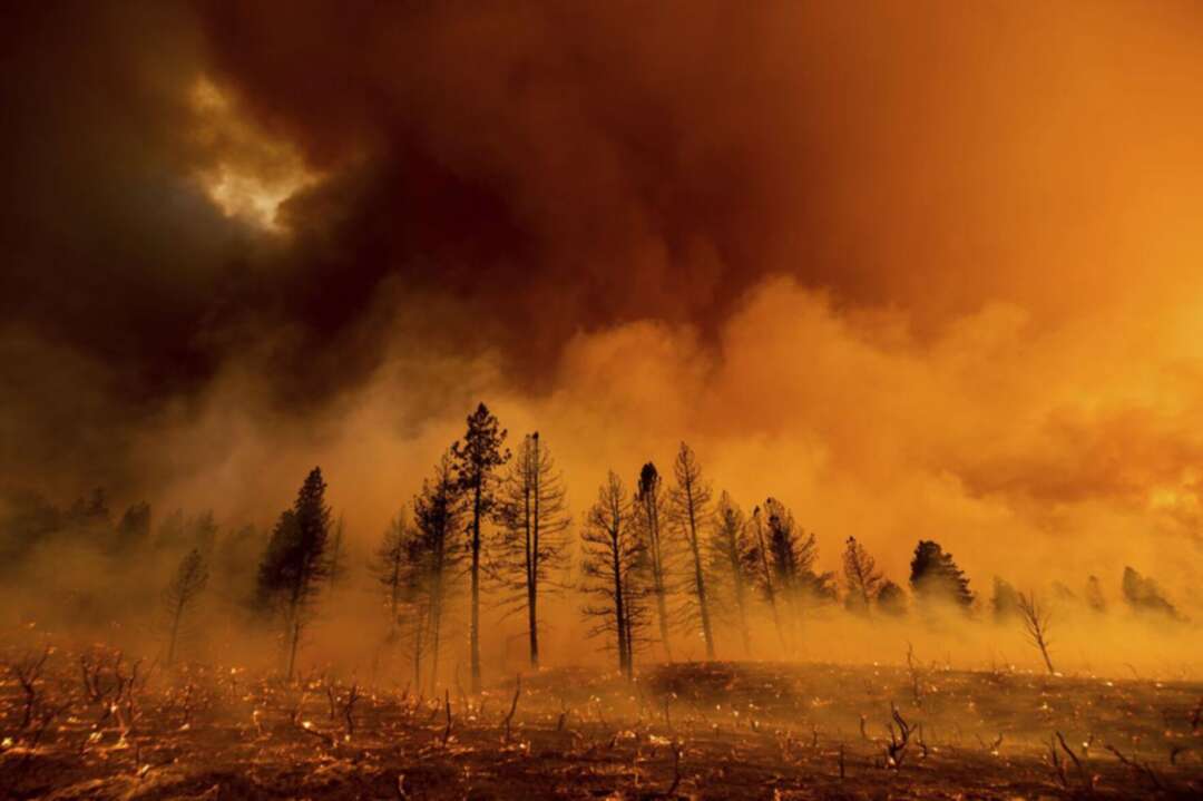 دراسة: دخان حرائق الغابات قد يزيد من خطر الإصابة بكورونا