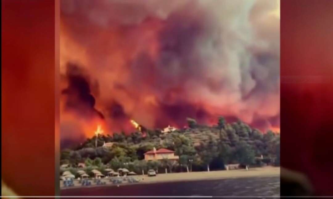 Greek wildfires are the biggest ecological disaster of last few decades