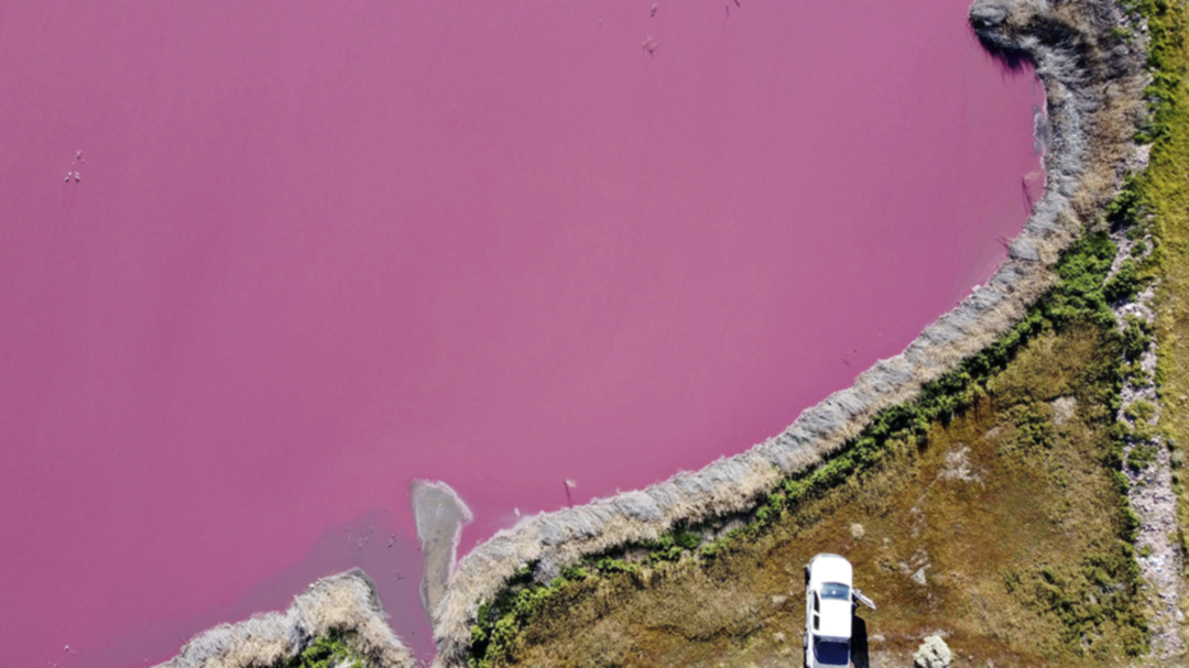 Argentine lake turns pink due to pollution