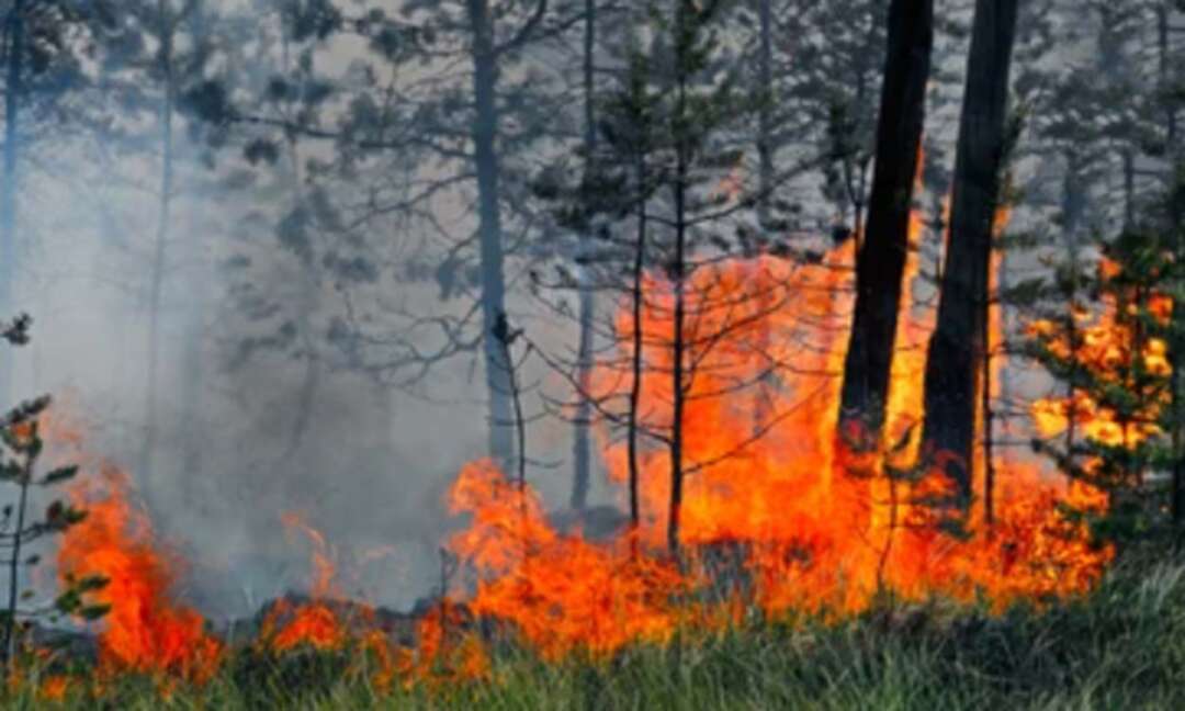 حرائق الغابات تستعر بأكثر من 15 منطقة روسية