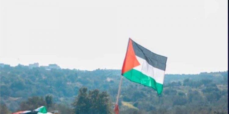 waving with palestine flag-