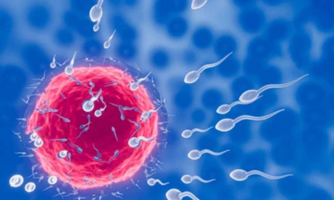 UK government announces frozen eggs and sperm storage limit increased to 55 years