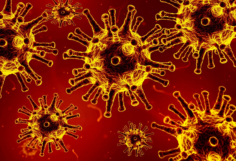 Corona-COVID-19-Coronavirus/Pixabay