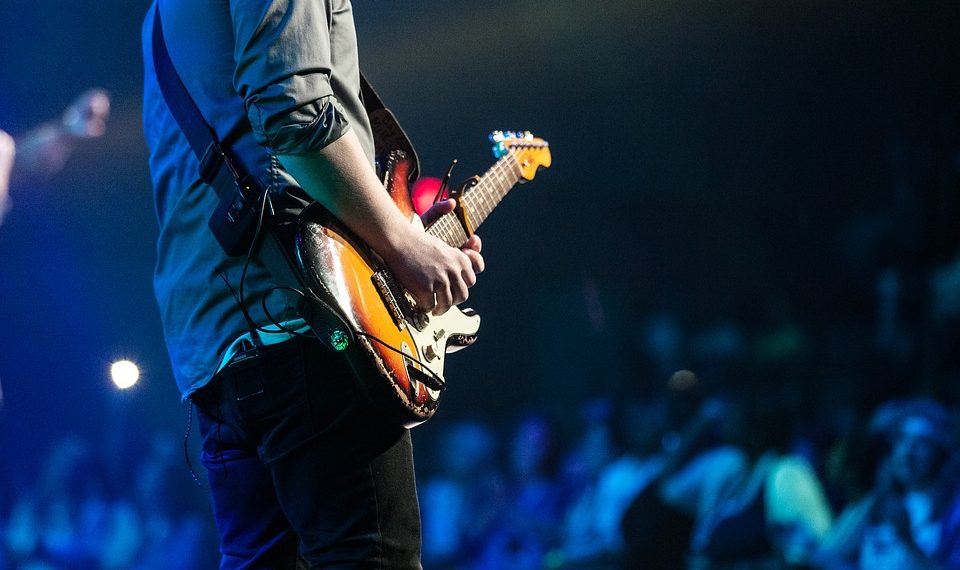 Concert-Guitar player-Audience/Pixabay