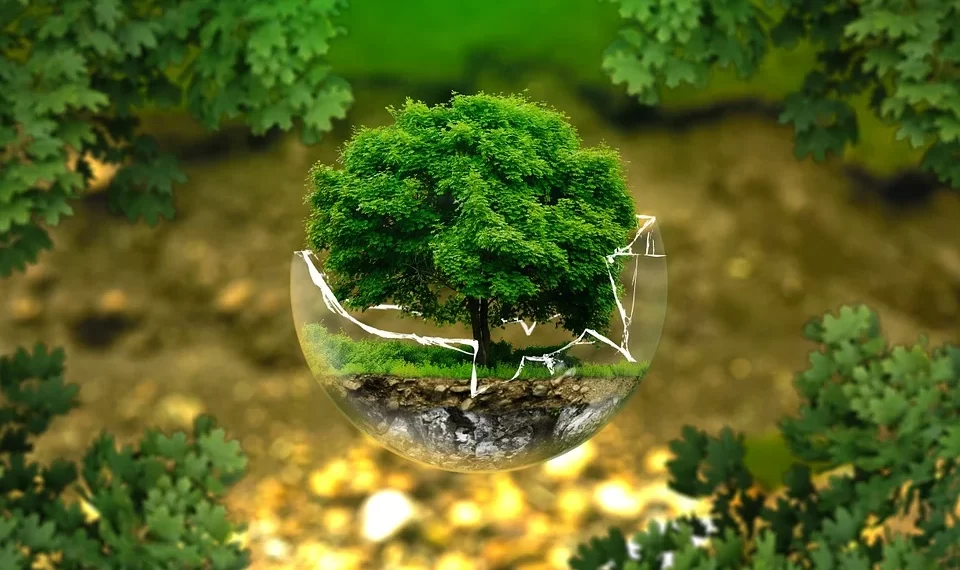 Environmental protection/Pixabay