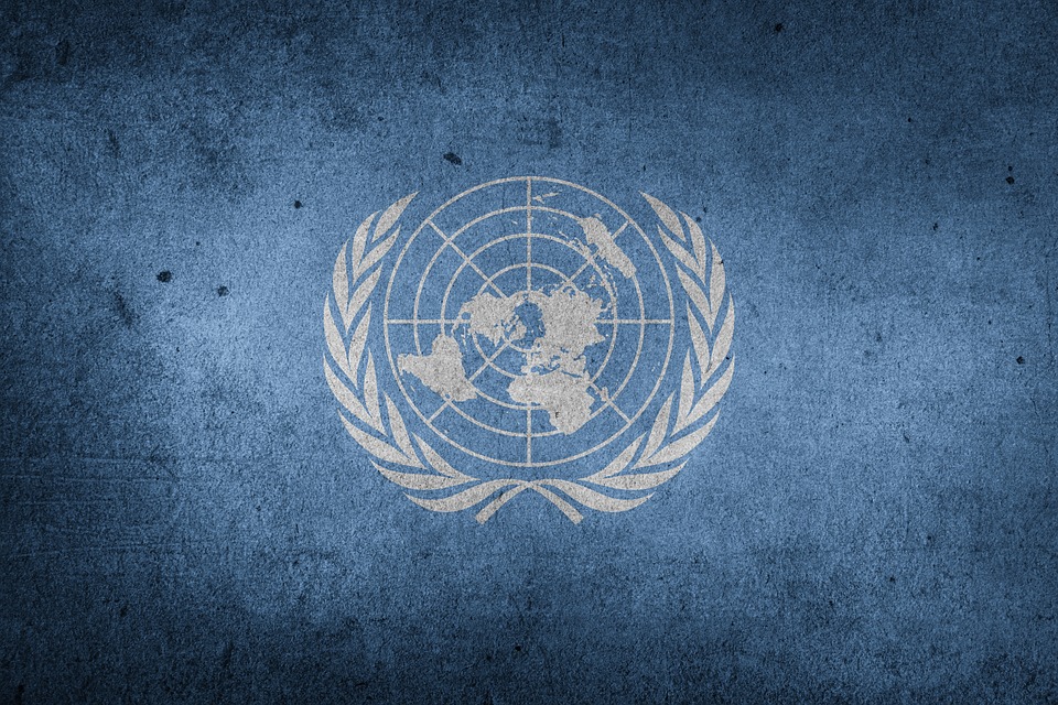United Nations-Flag/Pixabay