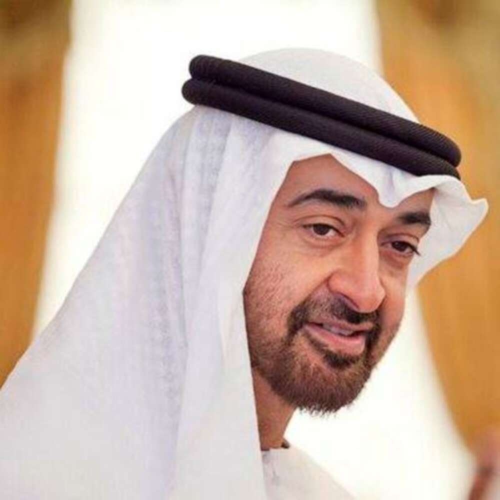 Abu Dhabi Crown Prince holds talks with leaders from Egypt and Iraq