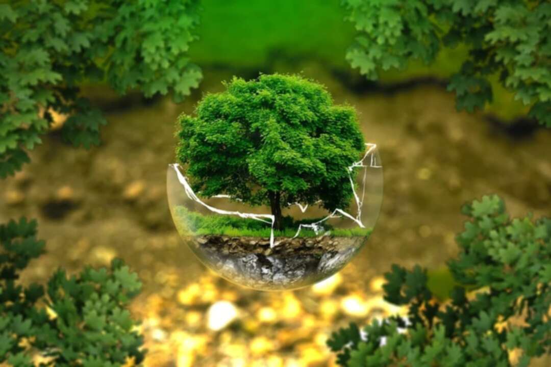 Environmental protection-Climate change/Pixabay