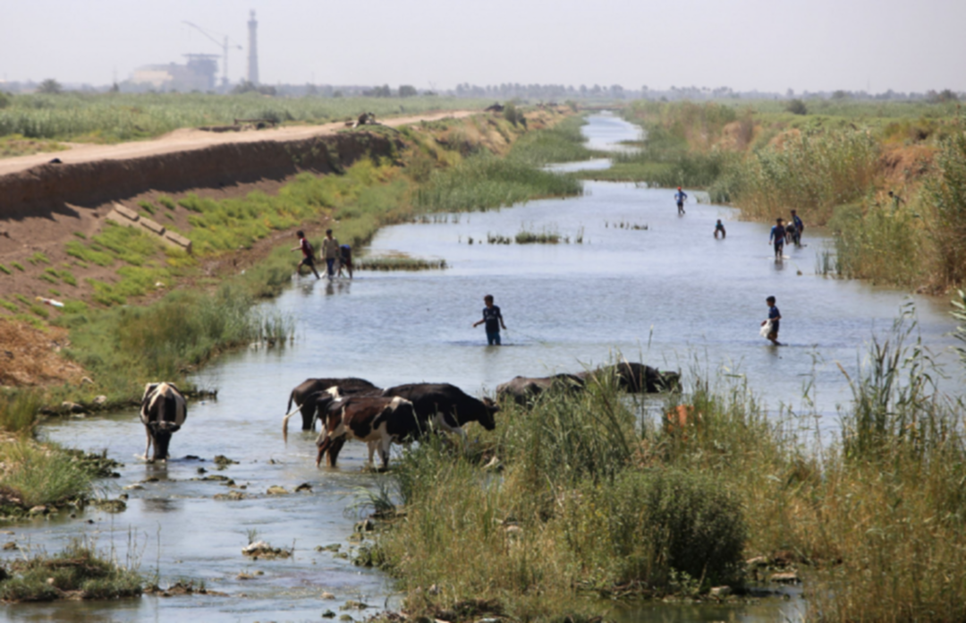 الجفاف يضرب العراق... مزارعون يغادرون أراضيهم