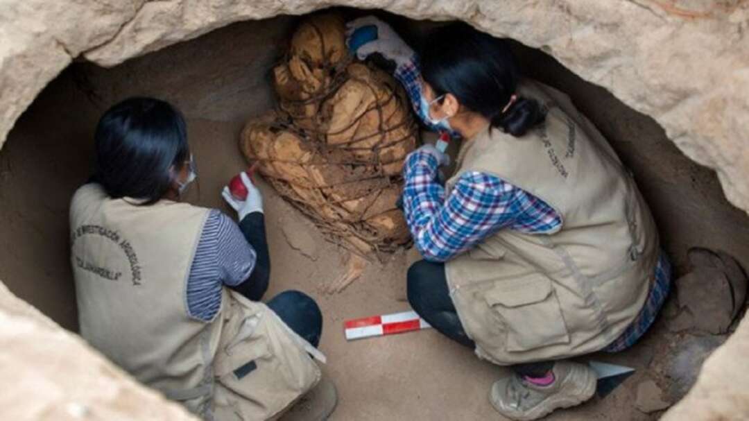 العثور على مومياء في البيرو عمرها 800 عام